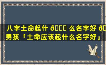 八字土命起什 🐟 么名字好 🦅 男孩「土命应该起什么名字好」